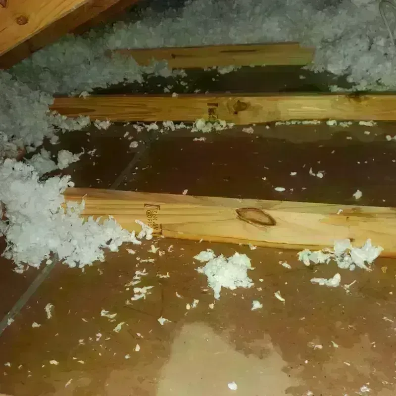 Attic Water Damage in Captains Cove, VA